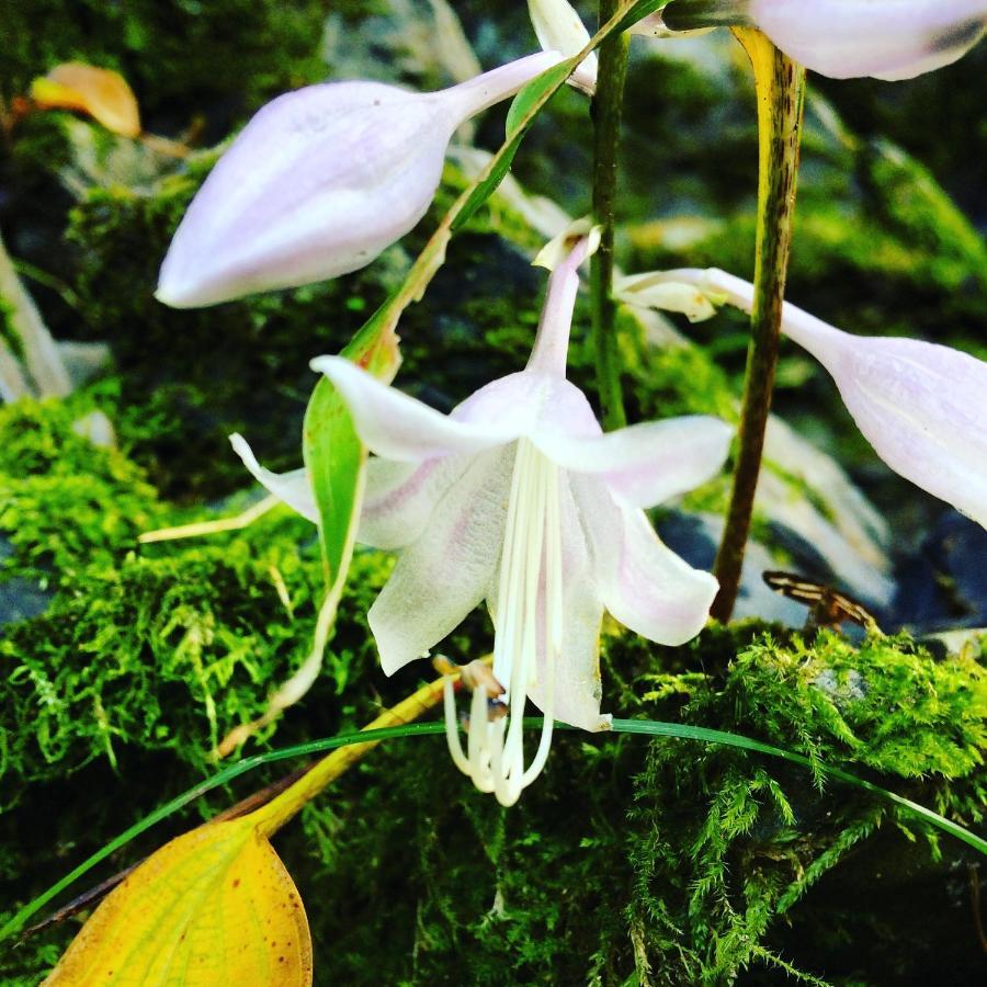 Otsu Nature Garden Akiruno Eksteriør bilde