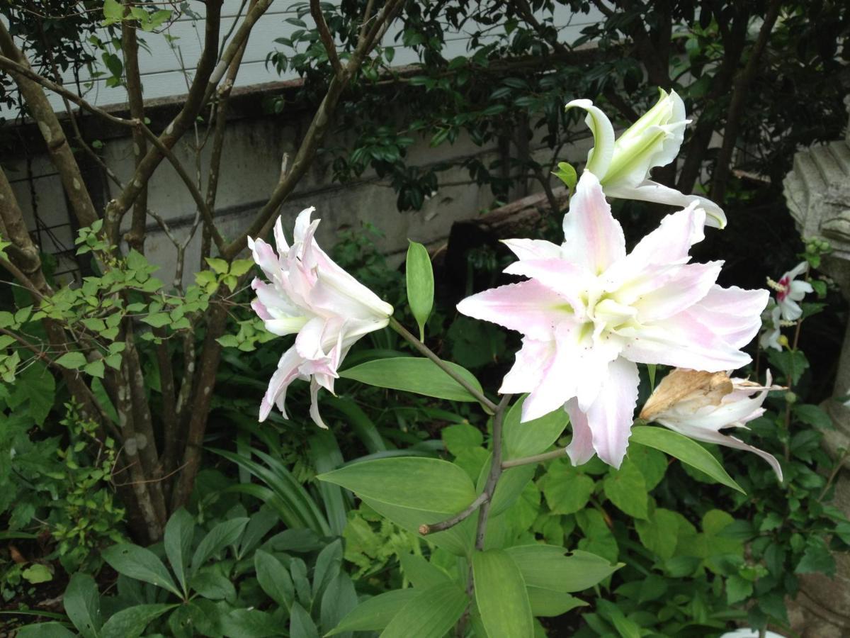 Otsu Nature Garden Akiruno Eksteriør bilde