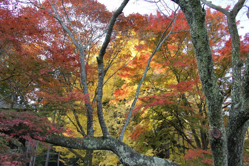 Otsu Nature Garden Akiruno Eksteriør bilde