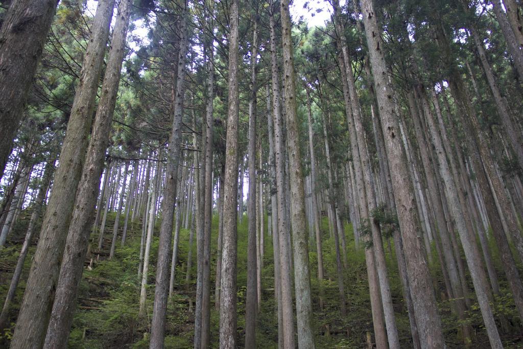 Otsu Nature Garden Akiruno Eksteriør bilde